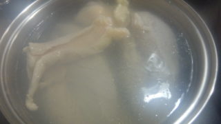 鶏がらスープ